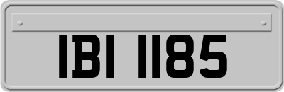 IBI1185