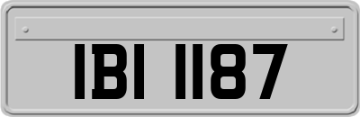 IBI1187