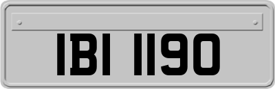 IBI1190