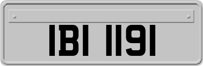 IBI1191