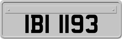 IBI1193