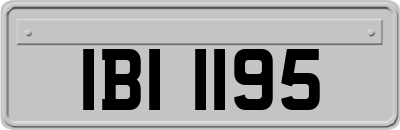 IBI1195