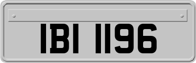 IBI1196