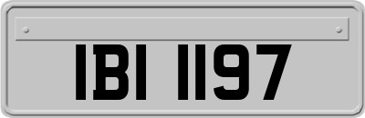 IBI1197