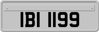 IBI1199