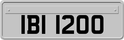 IBI1200