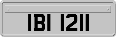 IBI1211