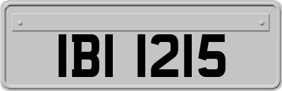 IBI1215