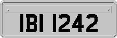 IBI1242