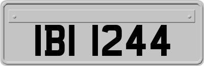 IBI1244