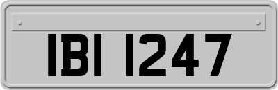 IBI1247