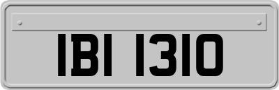 IBI1310