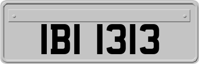 IBI1313