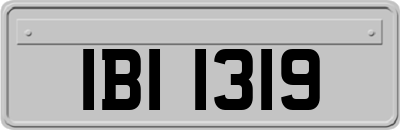 IBI1319