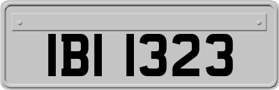 IBI1323