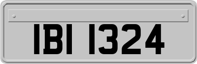 IBI1324