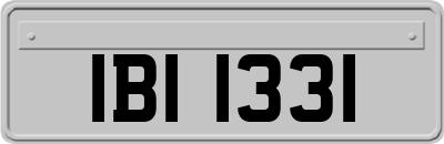 IBI1331