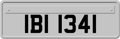 IBI1341