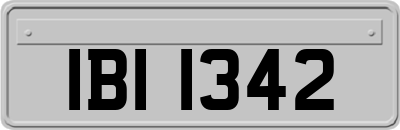 IBI1342