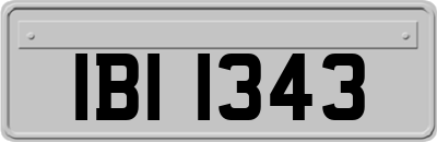 IBI1343