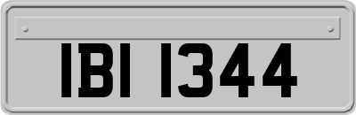IBI1344