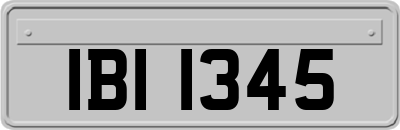 IBI1345