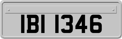 IBI1346