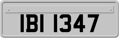 IBI1347