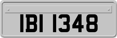 IBI1348