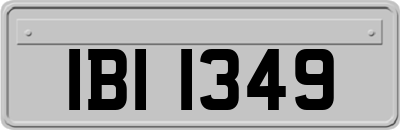 IBI1349