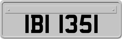 IBI1351