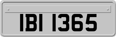 IBI1365