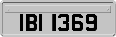 IBI1369