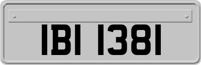 IBI1381