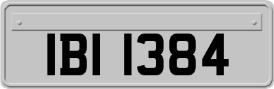 IBI1384