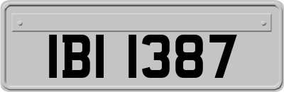 IBI1387