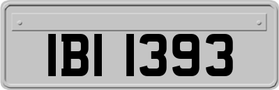 IBI1393