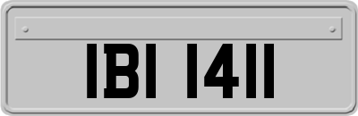 IBI1411