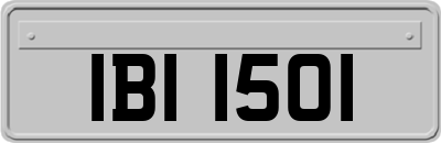 IBI1501