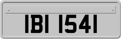 IBI1541