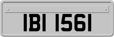 IBI1561