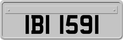 IBI1591