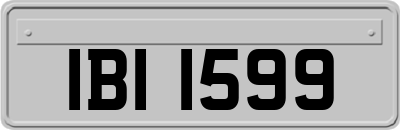 IBI1599