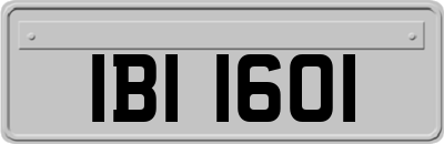 IBI1601