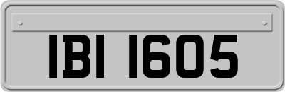 IBI1605