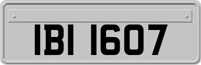 IBI1607