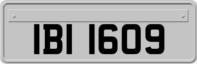 IBI1609