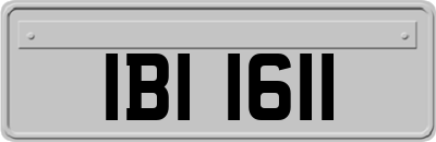 IBI1611