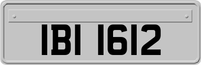 IBI1612