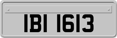 IBI1613
